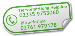 Schutzengel für Tiere Helpline: 02761 979178