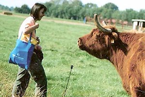 Dr. Gabriele Schuchardt